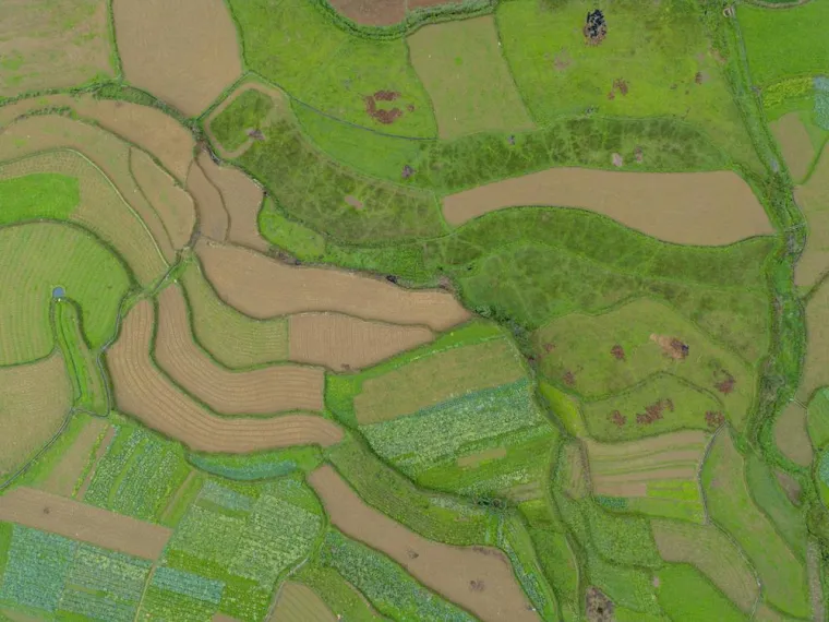 Géomètre Division de Terrain 